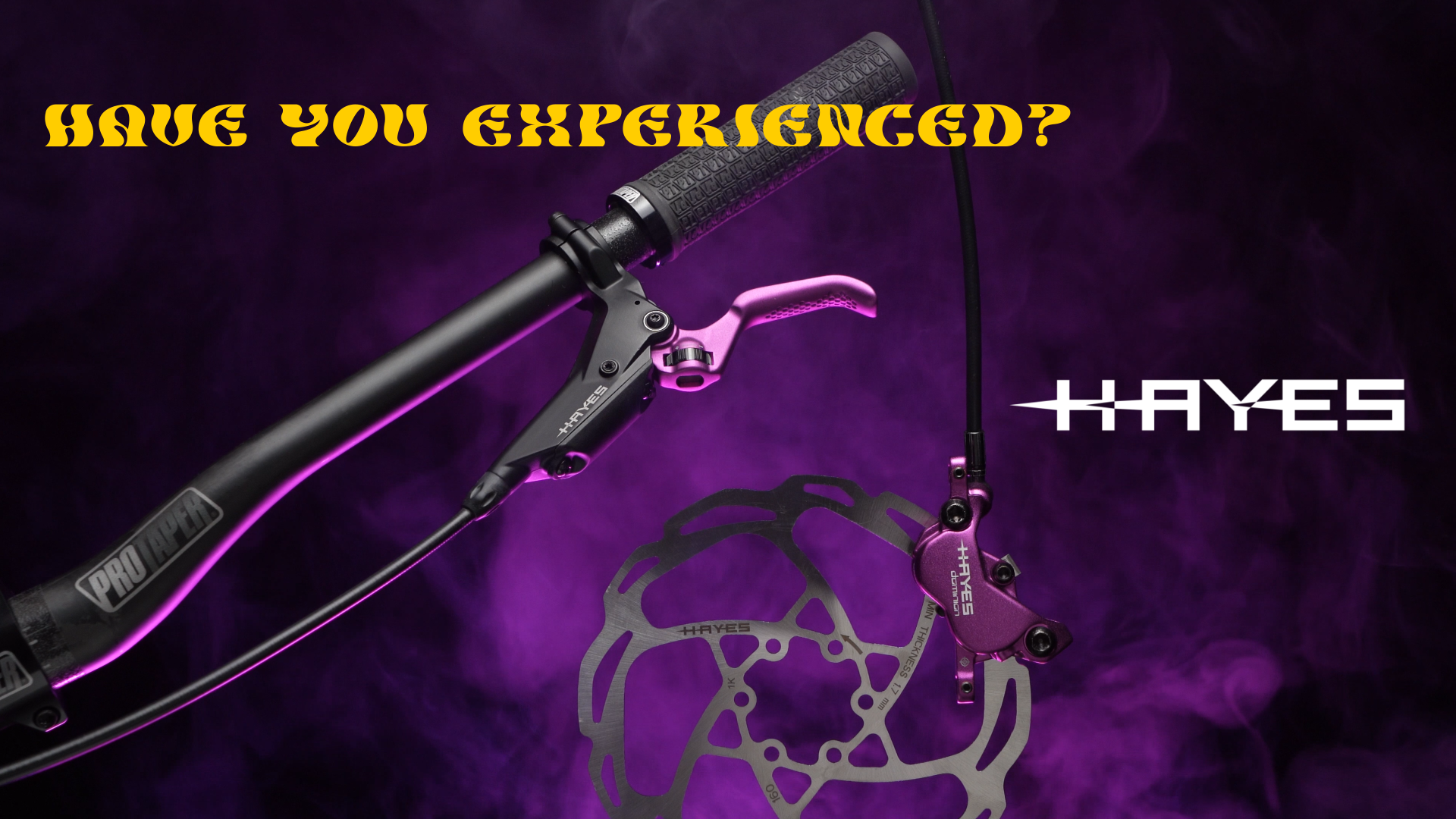 Purple Hayes Is Back - Mountain Bike Press Release - Vital MTB